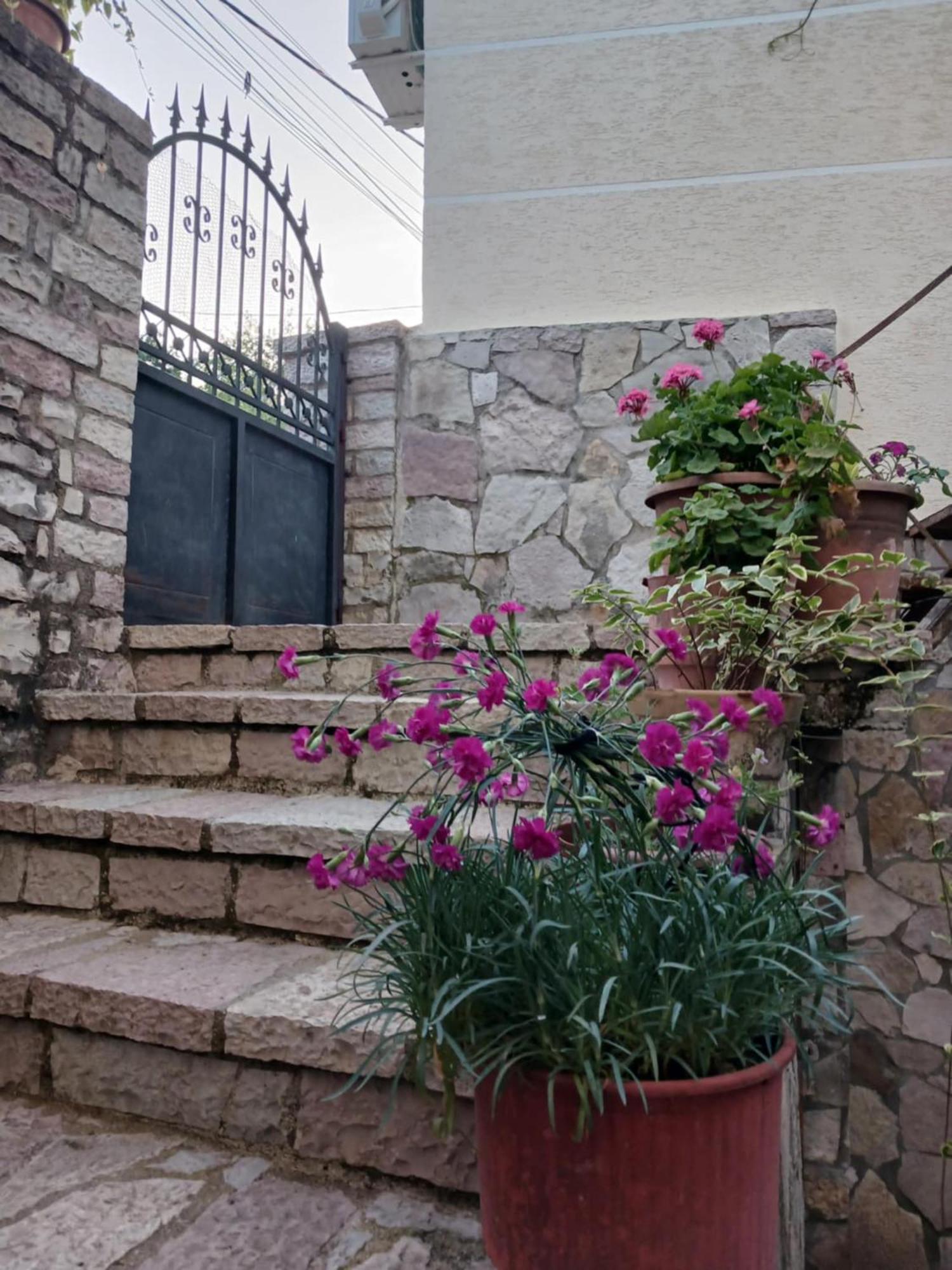 Eniguesthouse Гірокастра Екстер'єр фото